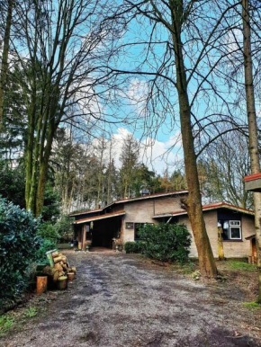 Hotels in Bergentheim